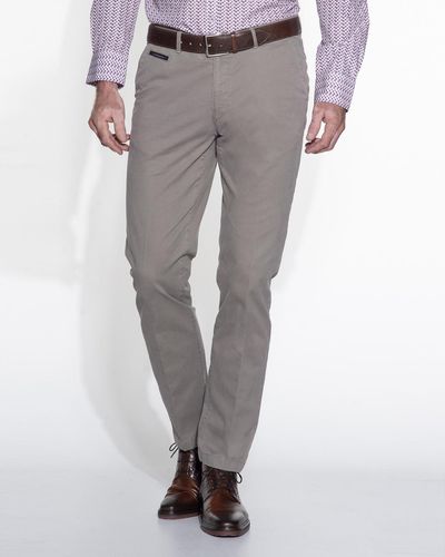 Campbell Classic Chino - Grijs