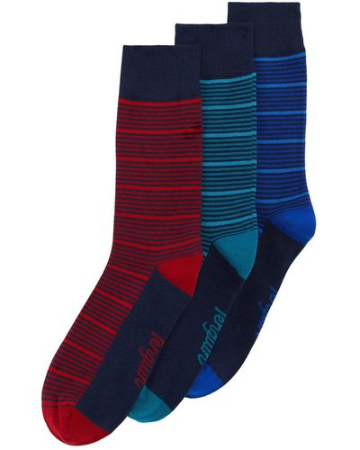 Original Penguin 3 Pack Stripe Design Ankle Socks In Navy, Red And Teal - Blue