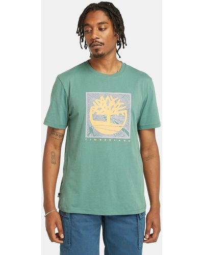 Timberland T-Shirt Short Sleeve Front Graphic Tee in groß Größen - Grün