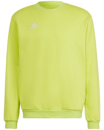adidas Originals Entrada 22 Sweatshirt - Gelb