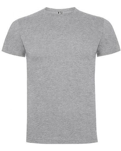 Roly Rundhalsshirt Dogo Premium T-Shirt, Single-Jersey - Grau