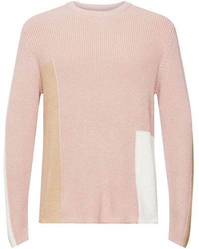 Esprit Rundhalspullover Strickpullover im Colorblock-Design - Pink