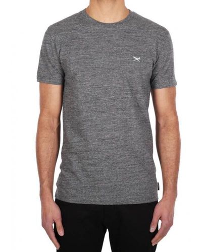 Iriedaily T-Shirt Chamisso - Grau