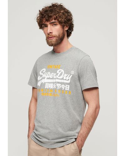 Superdry Print-Shirt SD-VL DUO TEE - Grau