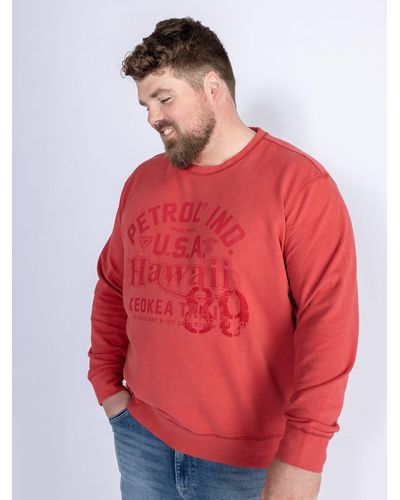 Petrol Industries Sweatshirt Men Sweater Round Neck - Rot