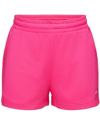 Esprit Shorts Logo-Sweatshorts (1-tlg) - Pink