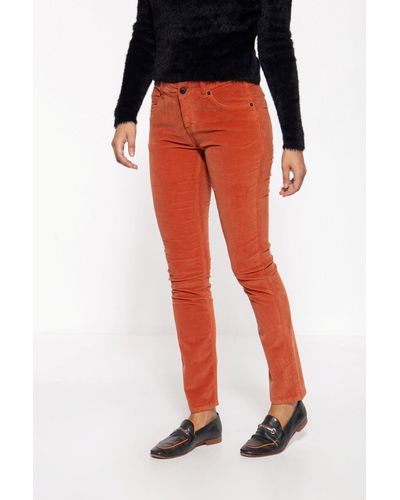 ATT Jeans Röhrenhose Belinda Velvet mit Samt-Optik - Rot
