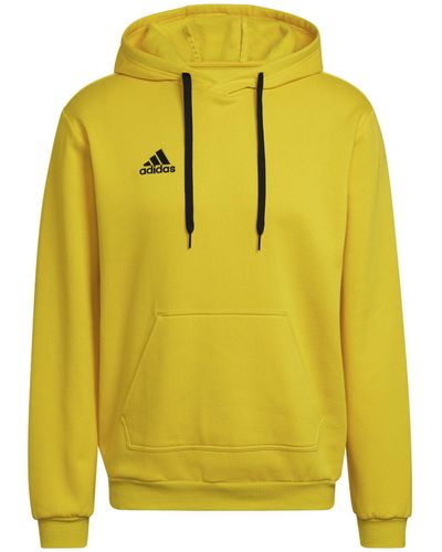 adidas Originals Fußball - Teamsport Textil - Sweatshirts Entrada 22 Hoody - Gelb