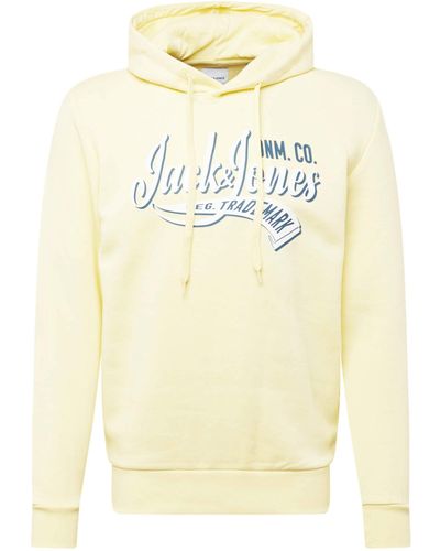 Jack & Jones Sweatshirt (1-tlg) - Mehrfarbig