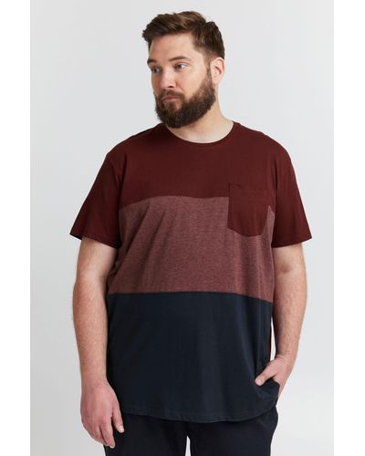 Solid T-Shirt SDMingo BT - Rot