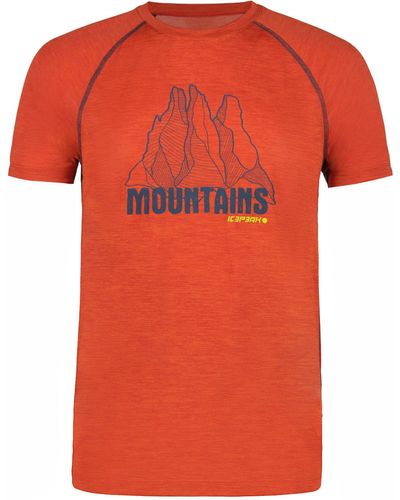 Icepeak T-Shirt DESTIN - Orange