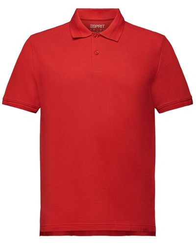 Esprit Piqué-Poloshirt aus Pima-Baumwolle - Rot
