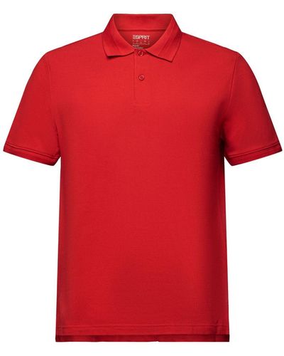 Esprit Poloshirt aus Baumwoll-Piqué - Rot
