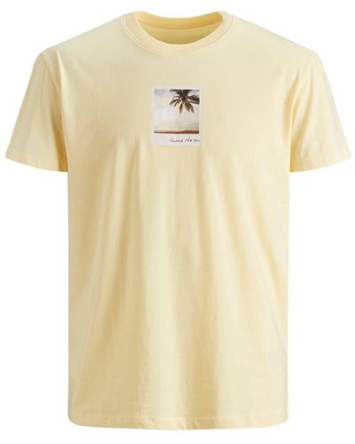 Only Carmakoma T-Shirt - Mehrfarbig