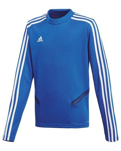 adidas Originals Sweatshirt Tiro 19 Trainingstop - Blau