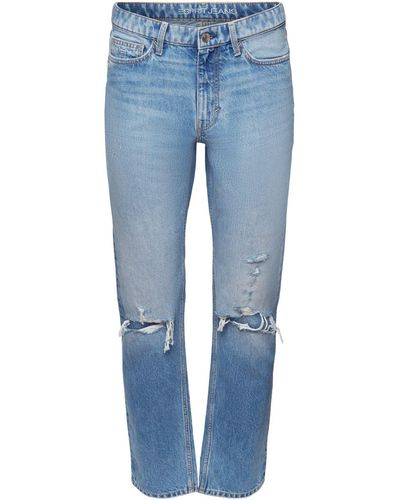 Esprit Straight- Jeans mit geradem Bein und mittlerer Bundhöhe - Blau