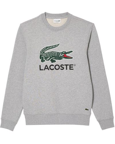Lacoste Sweatshirt aus Baumwolle mit XL-Krokodil und -Aufdruck - Grau