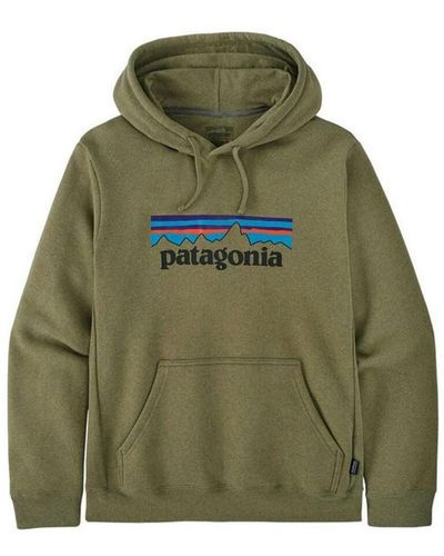 Patagonia Strickpullover - Grün