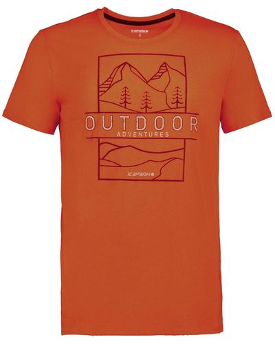 Icepeak T-Shirt Beeville mit kurzen Ärmeln und Rundalsausschnitt - Orange