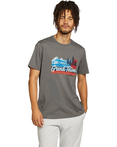 Eddie Bauer Graphic T-Shirt Grand Teton - Grau