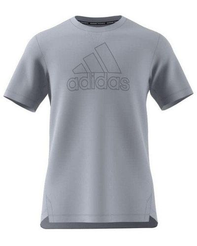 adidas Originals T-Shirt uni regular fit (1-tlg) - Grau