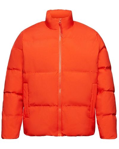 Esprit Steppjacke Jackets outdoor woven - Orange