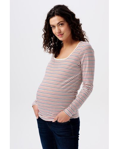 Esprit Maternity Stillshirt (1-tlg) - Grau