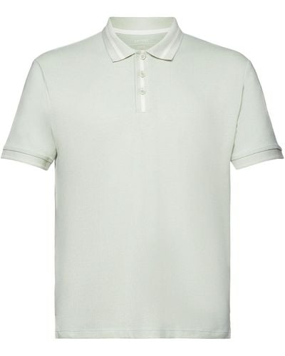 Esprit Polo-Shirt aus Jersey - Grün