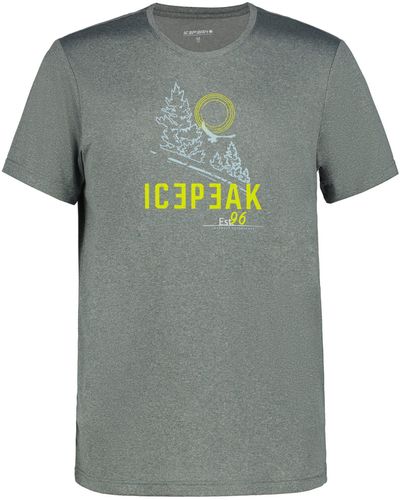 Icepeak T-Shirt BEARDEN - Grau