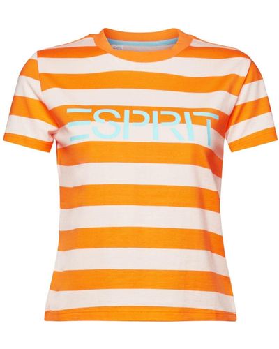 Esprit Gestreiftes Logo-T-Shirt aus Baumwolle (1-tlg) - Orange