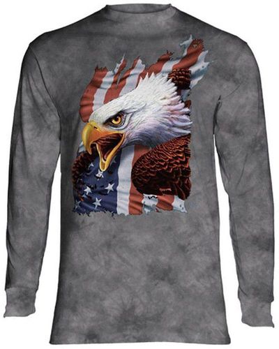 The Mountain Longsleeve Patriotic Screaming Eagle USA Adler - Grau