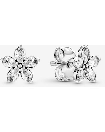 Pandora Jewelry Pave Heart Hoop Cubic Zirconia India  Ubuy