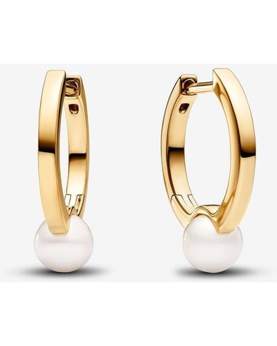 Pandora pearl hotsell earrings sale