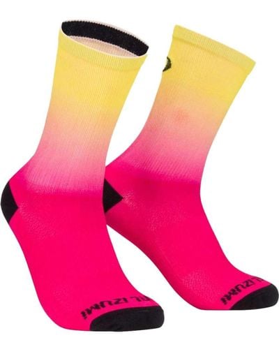 Pearl Izumi Transfer Limited 7in Socks Transfer Limited 7in Socks - Pink