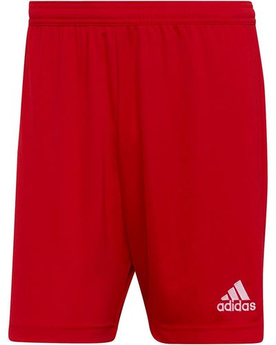 adidas Entrada22 Shorts - Red