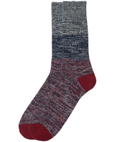 Barbour Socks for Women | Online Sale up to 40% off | Lyst