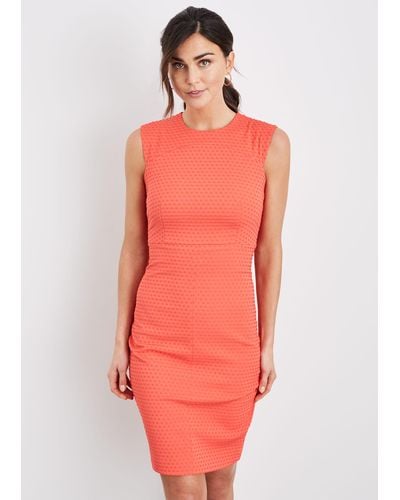 Damsel In A Dress 's Romano Textured Fitted Dress