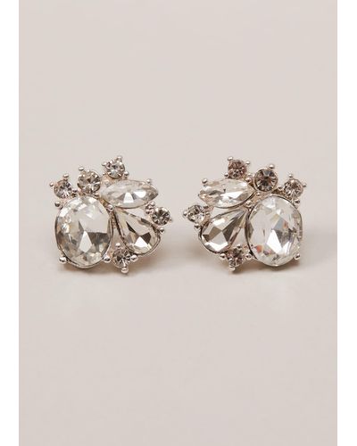 Phase Eight 's Silver Plated Stud Earrings - Natural