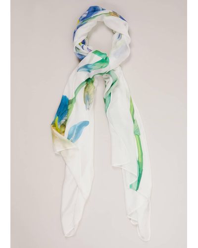 Phase Eight 's Floral Placement Print Scarf - White