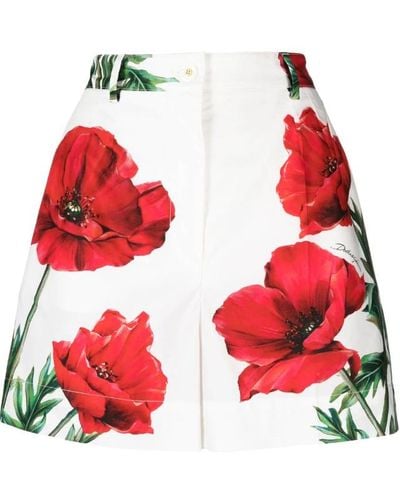 Dolce & Gabbana Poppy-print Poplin Shorts - Red