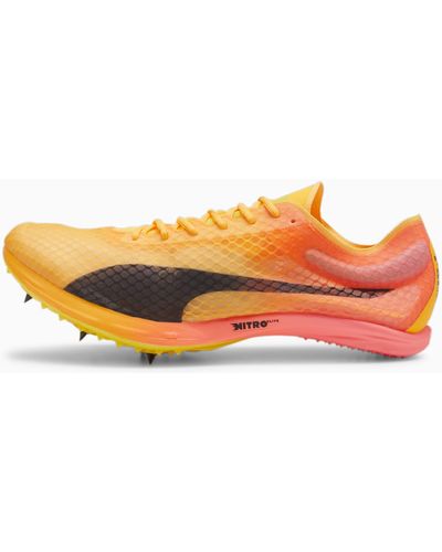 PUMA Evospeed Distance Nitrotm Elite+ 4 - Oranje