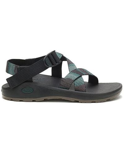 Chaco Zcloud Outdoor Sandal - Black