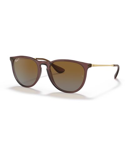Ray-Ban Erika Classic Sunglasses Transparent Dark Brown Frame Brown Lenses Polarized 54-18 - Black