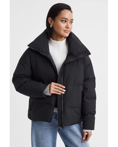 Scandinavian Edition Cropped Puffer Jacket - Black