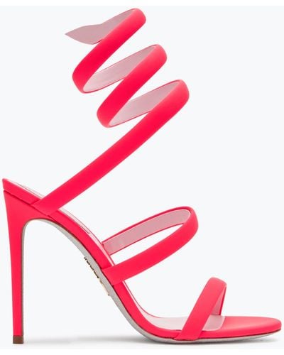 Rene Caovilla Cleo Coral Sandal 105 - Pink