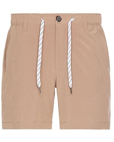 Chubbies The Tahoes 6 Everywhere Short - Brown
