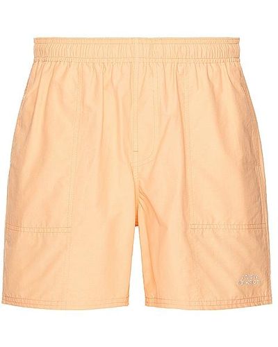 Saturdays NYC Talley Swim Short - Multicolour