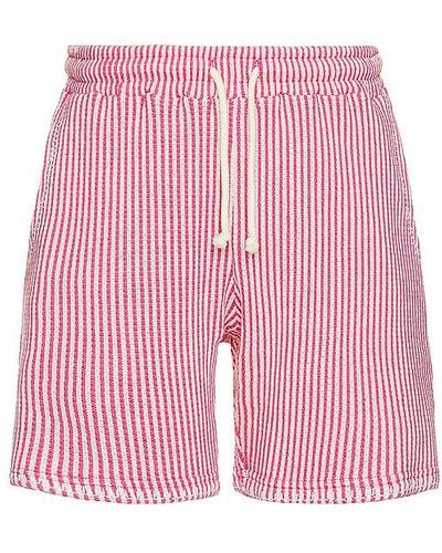 KROST Striped Knit Shorts - Pink