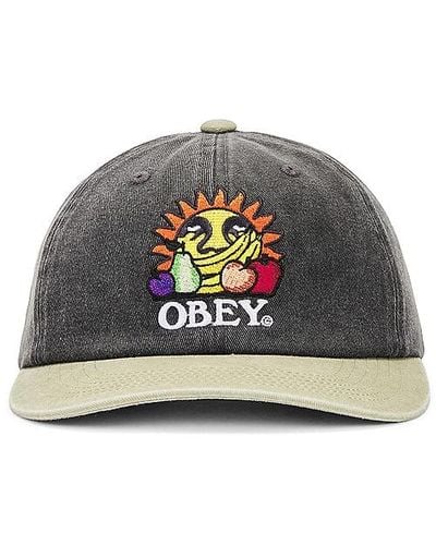Obey Pigment Fruits 6 Panel Snapback - Multicolor