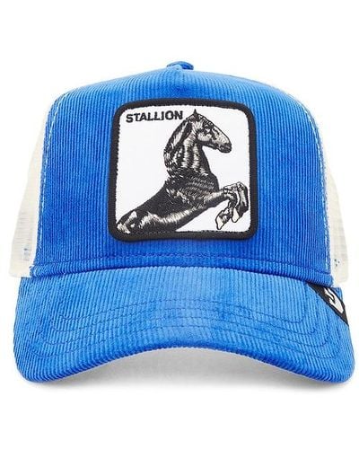 Goorin Bros Sly Stallion Hat - Blue
